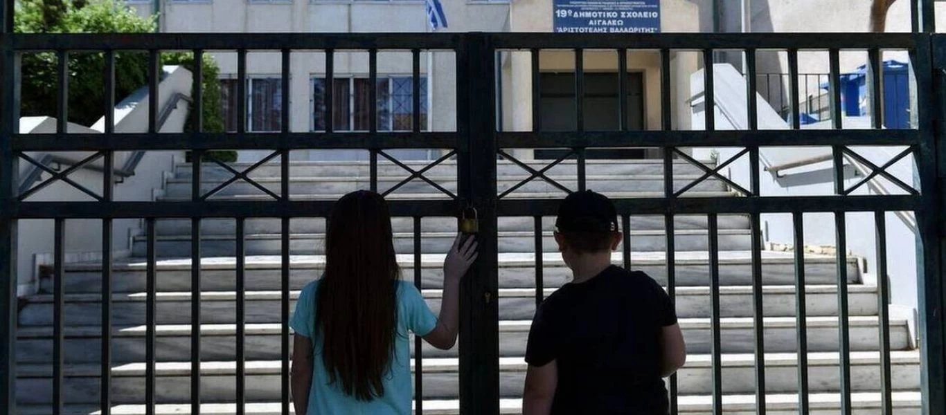 Κρούσματα λεπτοσπείρωσης σε ειδικό σχολείο στην Πυλαία - Ποντίκια μέσα και έξω από το κτήριο